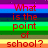 Red pixelated text on horizontal rainbow stripes reads "What is the point of school? All you do is learn stuff When you can easily do on the internet.".
