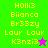 Two side-by-side display identical text lists with a single star icon changing color between green and purple backgrounds