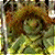 A 50x50 pixel animated buddy icon featuring a character from Fraggle Rock on the left and green text reading "Original Icons .com" on the right, displayed as a contact sheet with two frames.