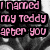 A black-and-white image of a dog with pink text reading "I named my teddy after you so I could always hug you" in four
