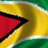 Pixelated flag with red triangle, yellow and green sections; green text phrases on black background. Animated: no visible motion changes observed.
