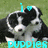 Pixelated image of a black and white dog with cyan accents, featuring the word 'PUPPIER' in cyan text at the bottom.