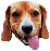 Pixelated dog head with brown fur, white muzzle, black nose, and pink tongue; four variations show subtle expression differences.