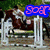 Animated sequence showing a horse and rider jumping over a white fence obstacle, with changing text overlays.