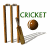 Animated cricket-themed icon showing wickets, bat, ball, and 'CRICKET' text with subtle motion changes across frames.