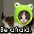 A cat wearing a green frog hat with white eyes appears in three , each showing text changes from "Be afraid. Be afraid." to "VERY afraid!!!"