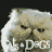 Animated sequence of a light-colored cat with closed eyes, showing subtle facial movements against a dark background.