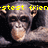 A pixelated image of a chimpanzee with yellow text overlays reading 'stest frien', 'Laura Kristy Jordan Bampri', and 'ordan Nolke Jozie Davis' across different sections.