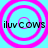 Four identical cyan backgrounds with pink concentric circles and black text 'iluvcows' in each quadrant.