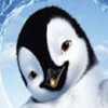 A cartoon penguin with black and white plumage, brown eyes, and a golden beak tip is centered against a light blue background with white cloud-like shapes.
