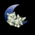 Animated sequence of two white owls perched on a blue crescent moon against black background with scattered light green stars.