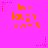Bright pink background with orange text reading 'live laugh love<3' repeated in a pattern, surrounded by small star and dotted line decorations