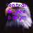 Pixelated image of an eagle's head with purple text overlay reading "Central Eagles Baby!!!" on a dark background.