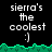 Pixelated text 'sierra's the coolest :)' on black background with green jagged border, displayed in two across three