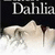 Pixelated image with 'Dahlia' text above a stylized flower-like shape on dark background.