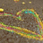 Animated sequence showing a heart shape formed by hands, transitioning to a kiwi fruit slice with black seeds arranged in a heart pattern.