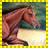 Pixelated horse image with green text reading 'GIDDY UP HORSY!' on yellow checkered border