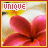 Red flower with yellow center in a of six , each containing the word UNIQUE above the bloom