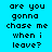 Pixelated text 'are you gonna chase me when i leave?' repeated across a with alternating cyan and magenta background sections