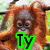 six shows an orangutan with changing text overlays in green and black