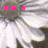 Pixelated static image with pink text 'Kayla' overlaid on a blurred grayscale background featuring abstract light and dark shapes.