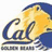 A pixelated graphic shows a bear's head with blue and yellow coloring, next to bold text reading 'This Is Bear Territory' in dark blue.