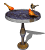 Animated sequence of a bird bath with two birds, one orange and one brown, on a blue surface with a metallic base.
