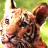 Pixelated close-up of a dog's face with light brown and white fur, pink nose, dark eyes, and upright ears against green background.