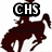 A pixelated dark red figure in three variations: one with 'CHS' text above, another with 'B-BALL' text above, and a third with '08-09' text below.