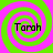 Four identical spiral patterns in green and pink with the text "Torah" overlaid on each, arranged in a