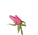 Four pixelated pink roses in various stages of bloom on a gray background, each with green stems and leaves.