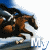 A 4-frame animated contact sheet showing a horse running with text changing across frames to form the phrase "My Time To Fly".