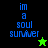 Pixelated text 'im a soul sunner' in blue on black and green backgrounds with star symbols, animated between two color schemes.