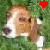 A pixelated dog with brown and white fur, closed eyes, and a raised paw appears against green foliage background with red heart above left.