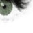Animated contact sheet showing a sequence of frames depicting an eye with tears and a red rose transforming into a black rose, followed by the rose fading to gray.