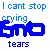 Pixelated blue text on white background reads 'I cant stop crying SMO tears' with large stylized 'SMO' below.