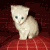 Animated sequence of a white ceramic cat figurine on a red checkered surface, showing head movements and eye color changes.