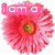 A pink flower with layered petals and a yellow-orange center appears in three distinct text configurations: 'i am a' at top-left, 'FLOWER' across the middle-right, and 'fear me!' at bottom-left.