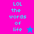Pixelated text 'LOL the words of life' appears on two color-blocked backgrounds with a star symbol in one version.