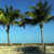 Pixelated static image of two palm trees with green fronds against a gradient blue sky, sandy ground, and dark water reflection.