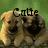 Two light brown puppies with dark brown faces sit side-by-side on a grassy background, with text above them changing across frames.