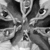 Black-and-white animated icon with repeating symmetrical patterns of stylized faces and abstract shapes radiating from a central point.