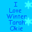 Blue background with pixelated text reading 'I Love Winter Tarah Okie' and light blue snowflakes, two identical copies side-by-side.