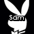 Pixelated black-and-white icon of a rabbit-like figure with long ears, holding a rectangular object displaying the text 'Sam' in blocky letters.
