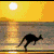 Pixelated silhouette of a kangaroo in mid-hop against a sunset sky with a bright sun and gradient yellow-orange background.