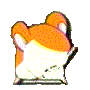 Animated sequence of a small orange-and-white hamster character in various poses against gray background.