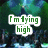 Pixelated green text on dark background with blue highlights, displaying phrases about flying and gravity in a stylized font.