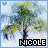 iconhell_nikkii