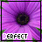 A 4x4 contact sheet of animated frames showing a purple flower with the word "PERFECT" in white text at the bottom left corner, displayed on a gray background.