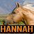 A horse's head in profile against a grassy field and blue sky, with text below changing from 'HANNAH' to 'HORSES'.